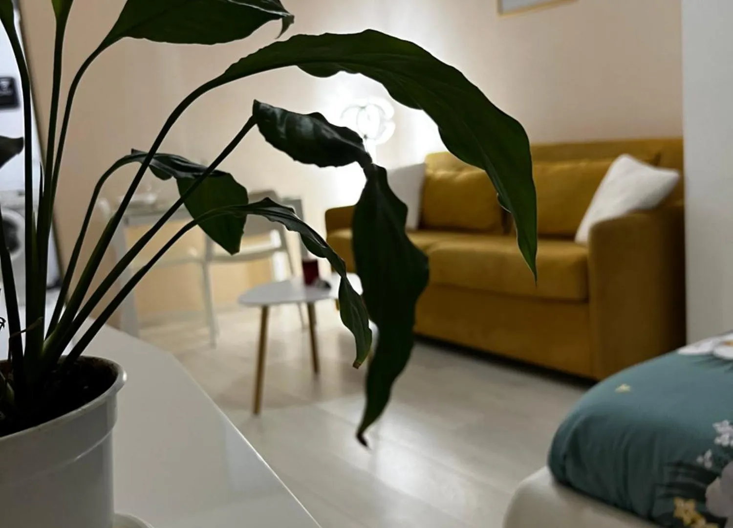 Sindi'S Daily Apartment Durrës